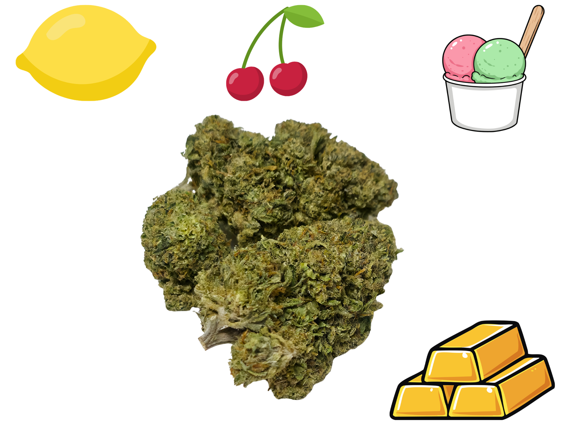 Lemon Cherry Gelato- Gold Tier- THCa- Hybrid / 1g